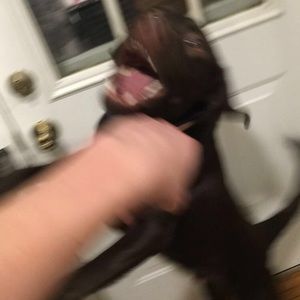 Meet your Posher, Danny